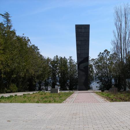 Братское кладбище Воинов 89 Стрелковой Дивизии