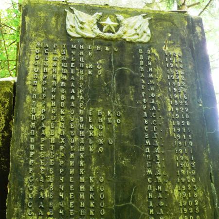 Братская могила и памятник односельчанам в с. Варовичи