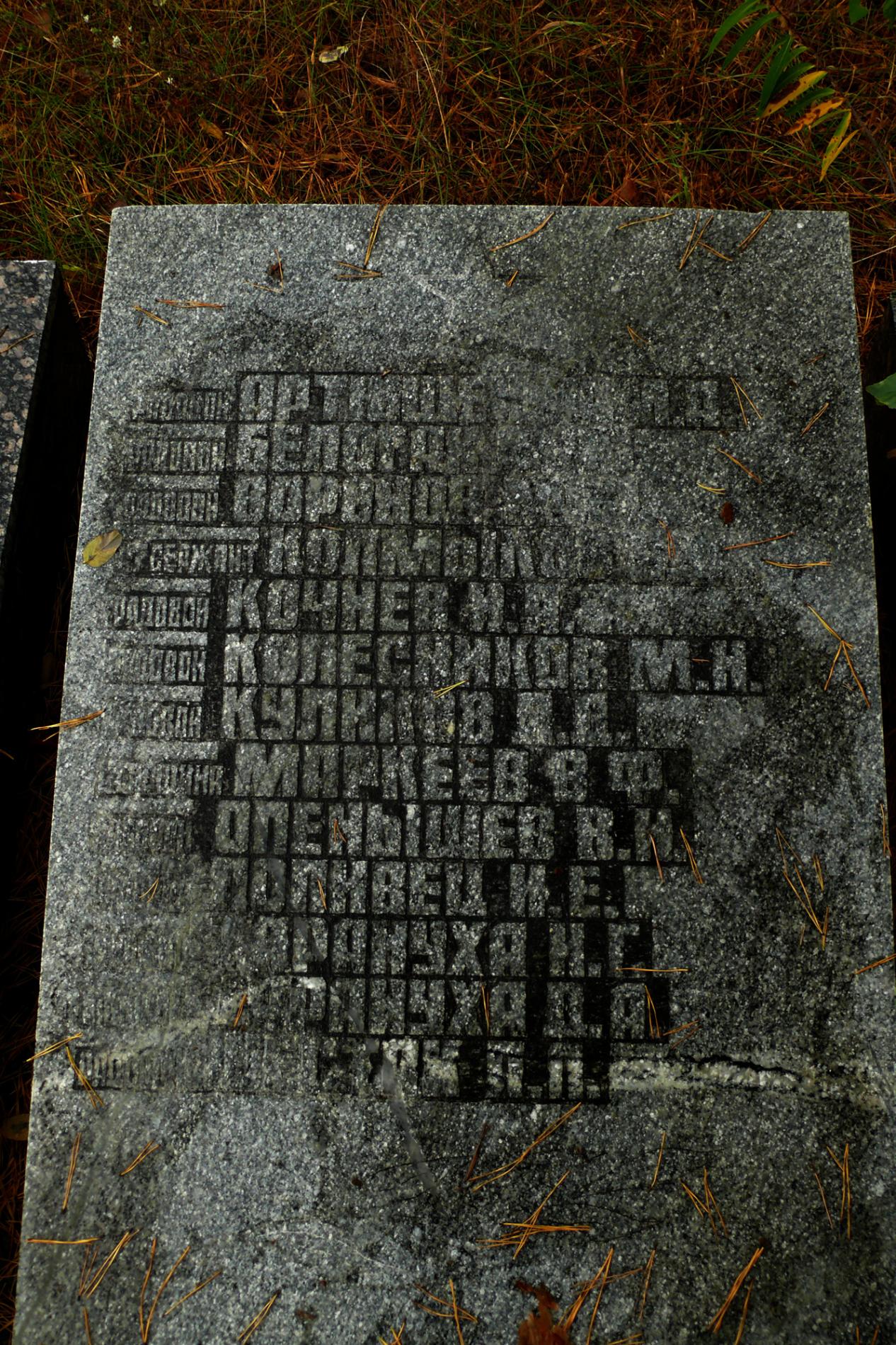 Братская могила на ст. Янов