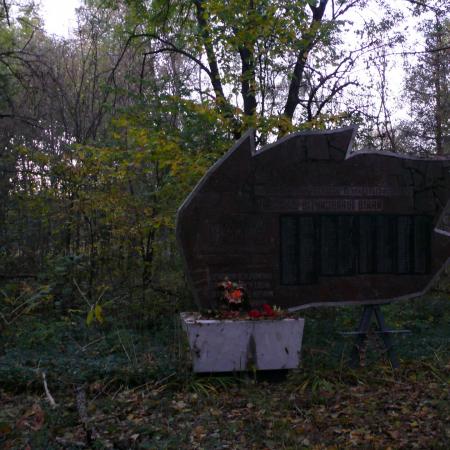 Памятник воинам-односельчанам в с. Стечанка б. Чернобыльского района