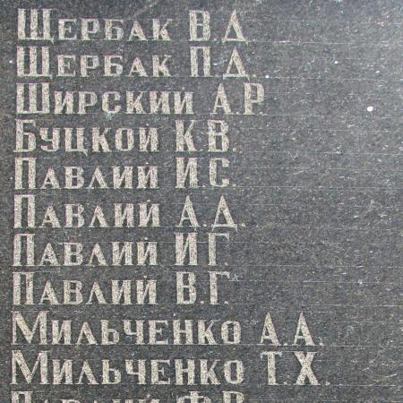 Братская могила Воинов ВОВ с. Старомихайловка Марьинского района Донецкой области