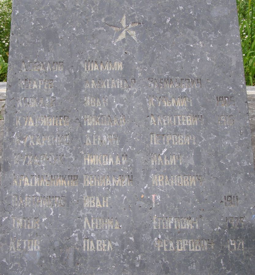 Братская могила в с. Анисов Черниговского района Черниговской обл.