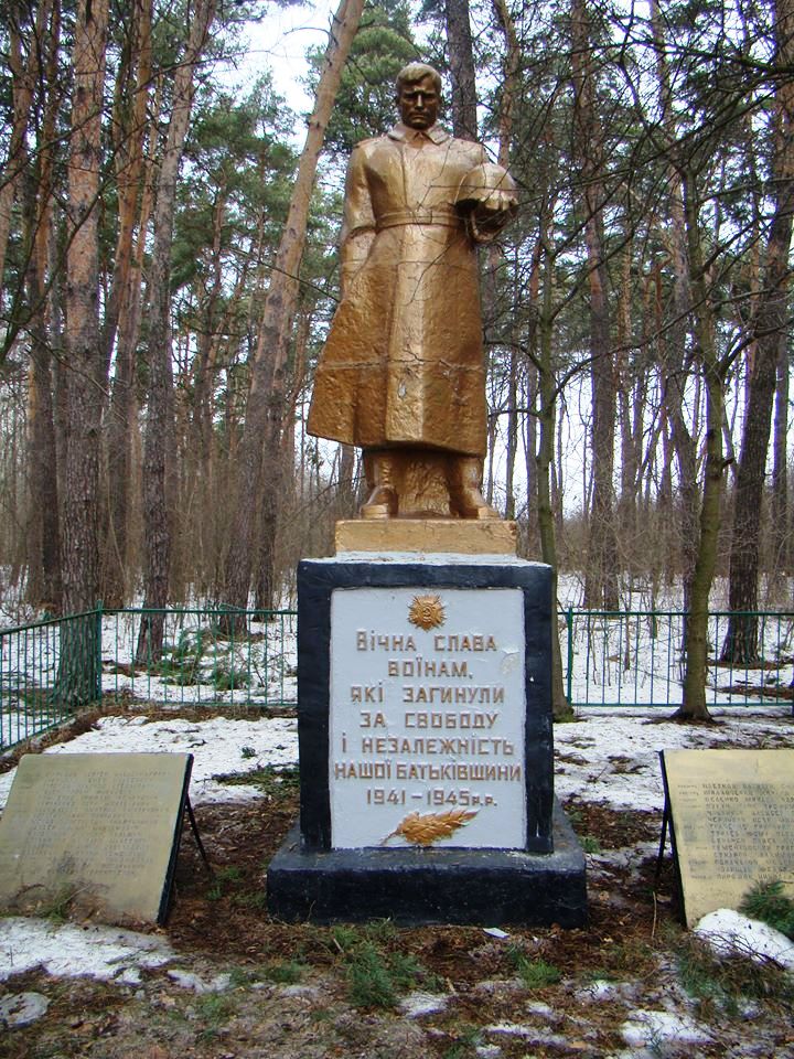 Братская могила в с. Дмитровка Фастовского района