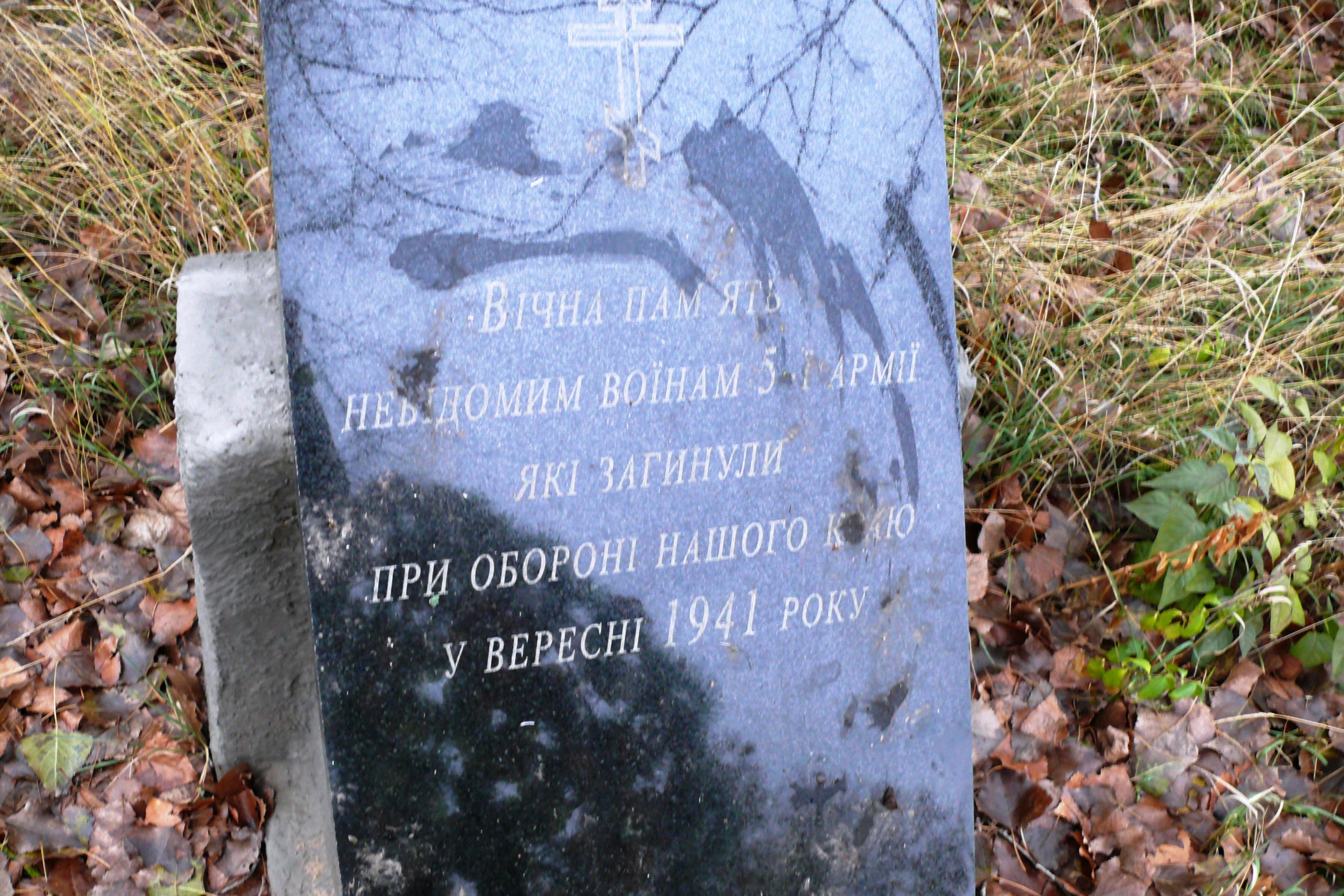 Братская могила в с. Туманская Гута Козелецкого района