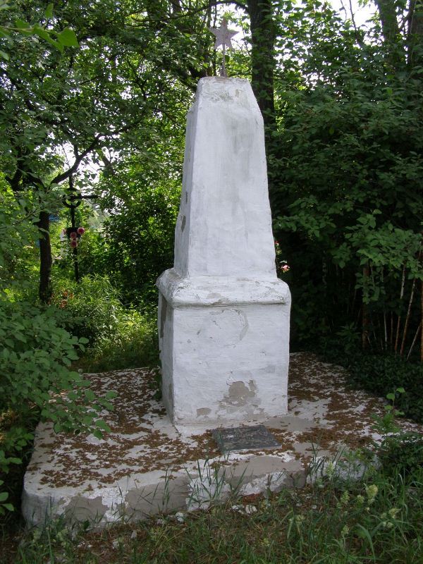 Одиночная могила на кладбище в с. Кинашевка Борзнянского района Черниговской обл.