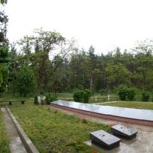 Братская могила в с. Лебедевка Вышгородского района