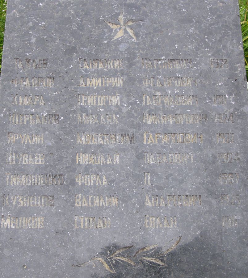 Братская могила в с. Анисов Черниговского района Черниговской обл.