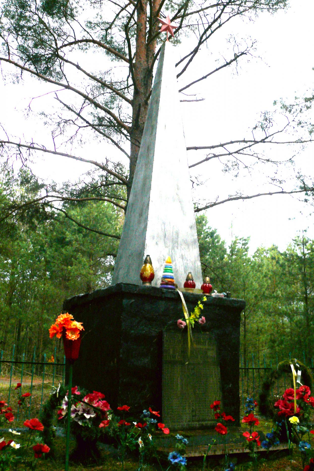 Братская могила в с. Ново-Шепеличи Чернобыльского района 