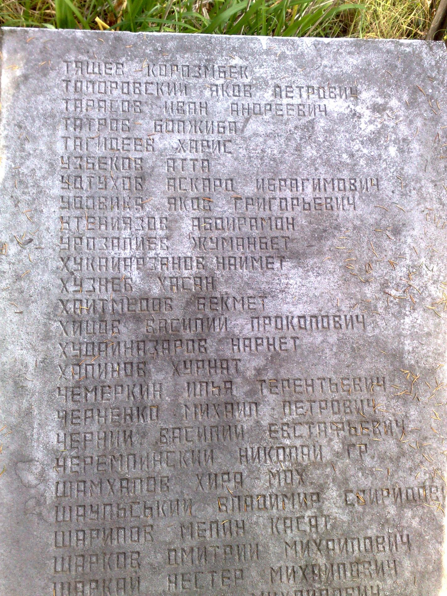 Братская могила в с. Раковичи Радомышльского района