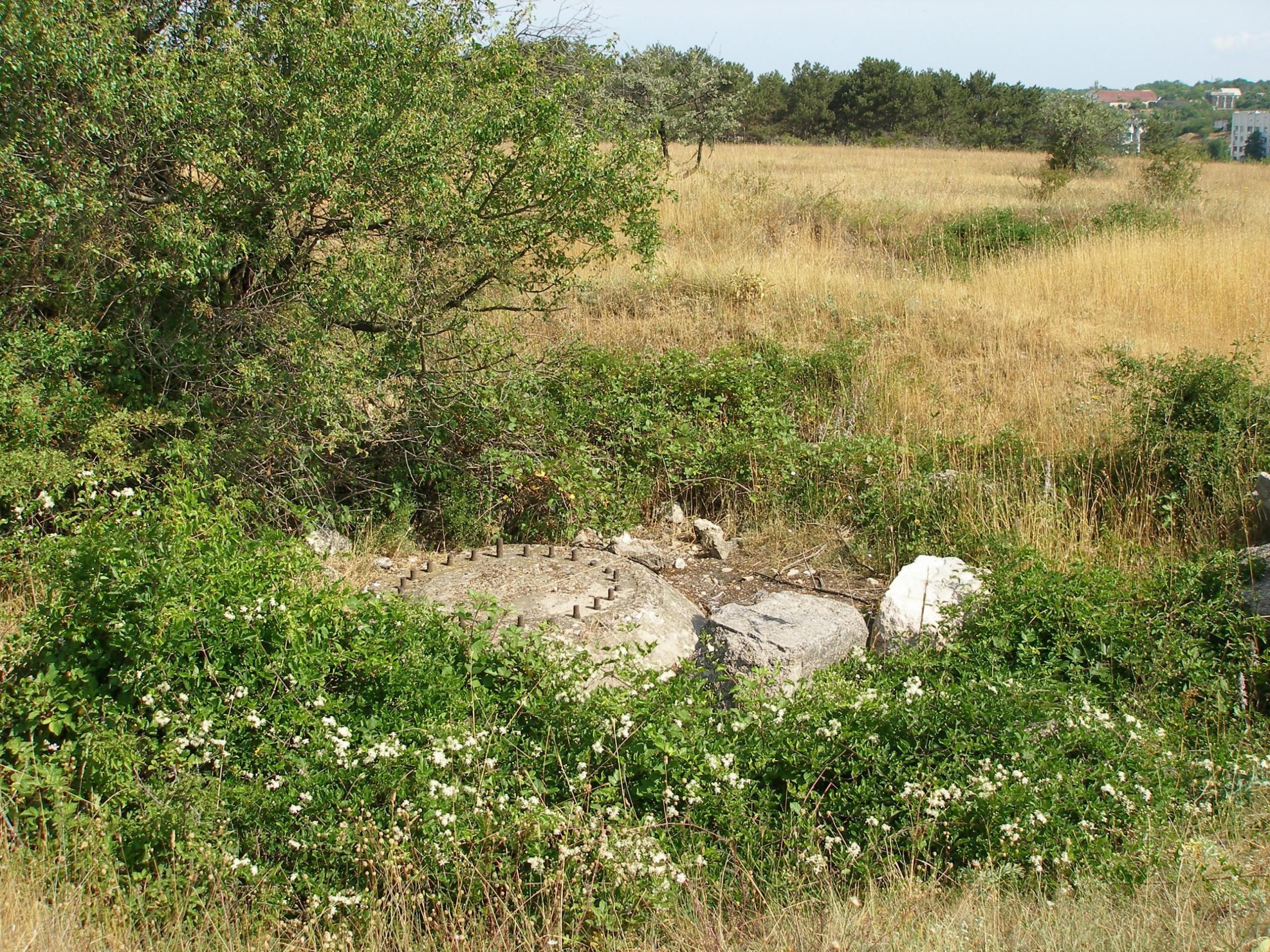 Батарея СОРа 705\116