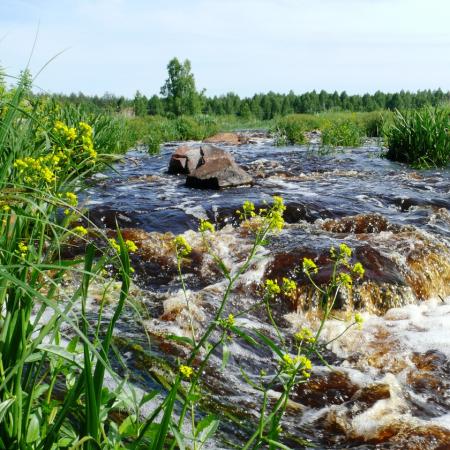 Карельский пейзаж на реке Илья