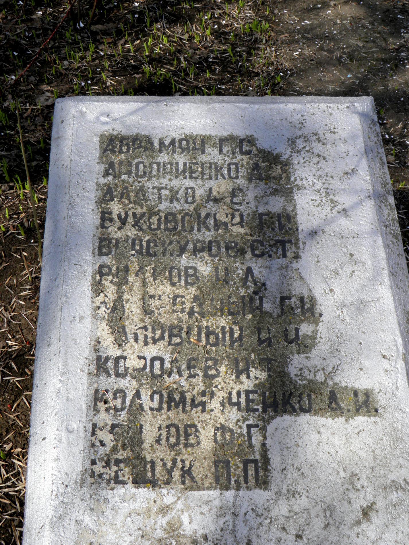 Братская могила в с. Лесное Тарутинского района