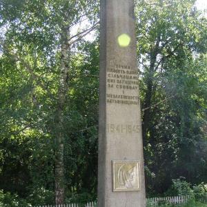 Памятник односельчанам в с. Шаповаловка Борзнянского района