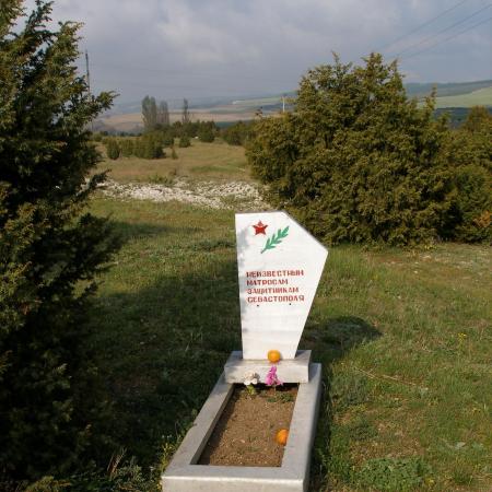 Братская могила Воинов 263 Стрелковой Дивизии
