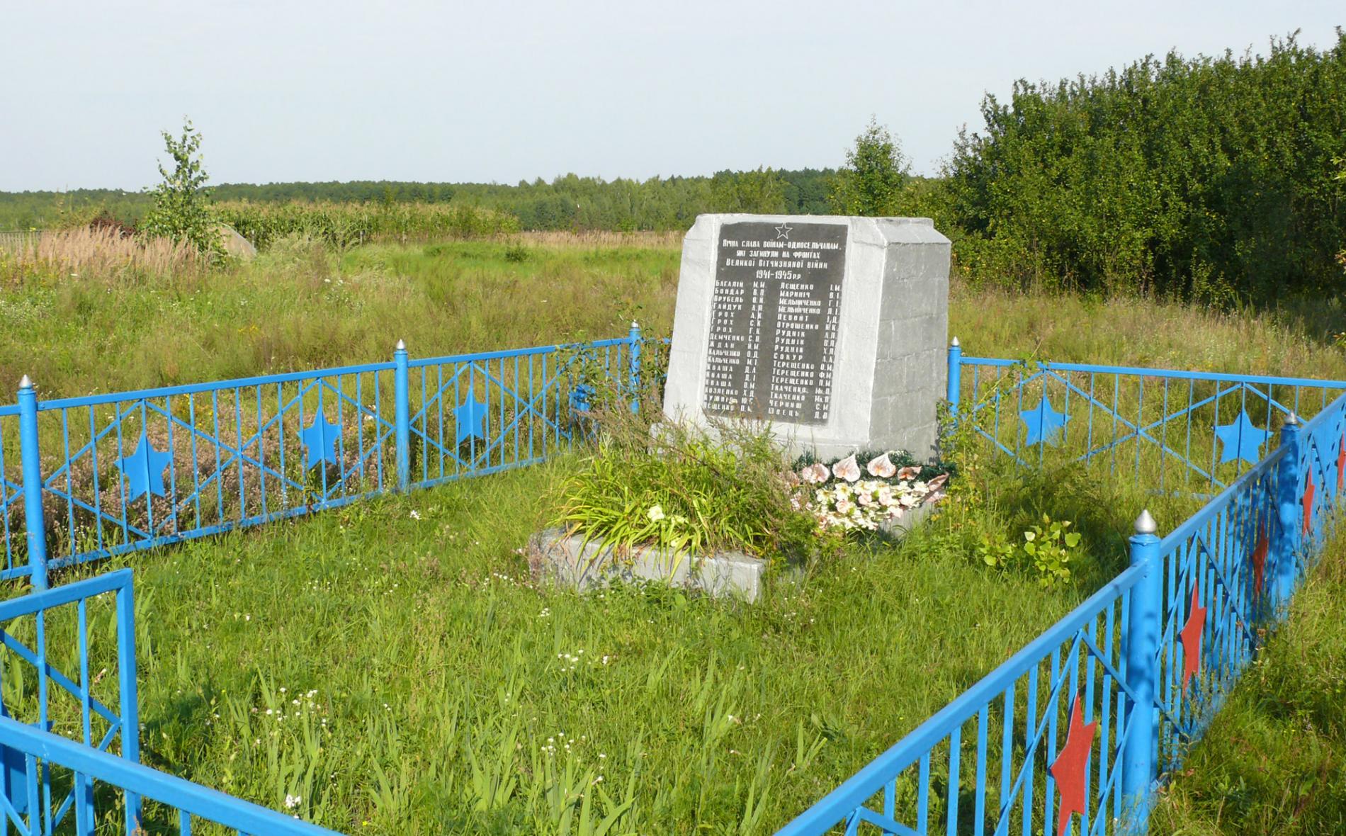 Братская могила на х. Петровское Вышгородского района