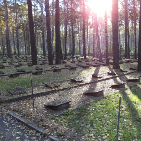 Заельцовское кладбище г. Новосибирска, братские могилы воинов ВОВ