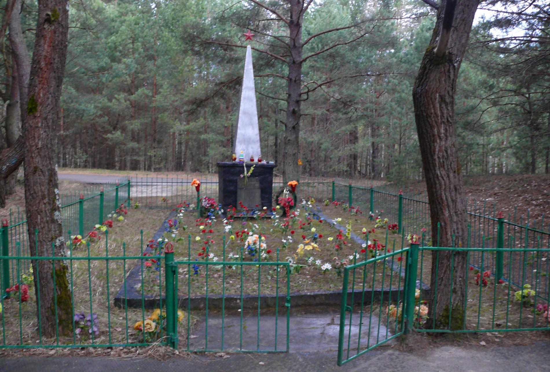 Братская могила в с. Ново-Шепеличи Чернобыльского района 