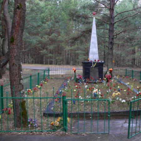 Братская могила в с. Ново-Шепеличи Чернобыльского района 