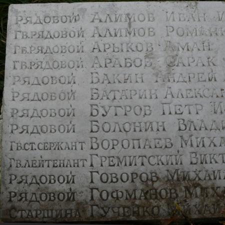 Братская могила в с. Девички Переяслав-Хмельницкого района 