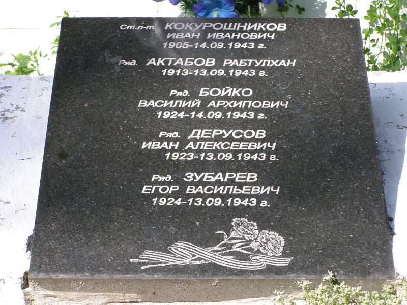 Братская могила у школы в с. Кинашевка Борзнянского района