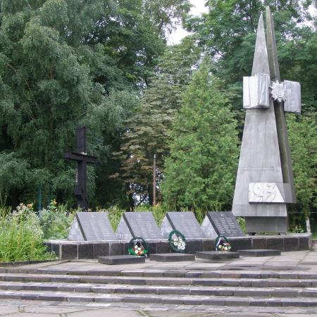 Братская могила в с. Анисов Черниговского района Черниговской обл.