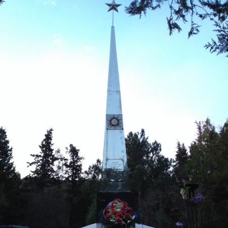 Памятник воинам 33 гвардейской стрелковой дивизии