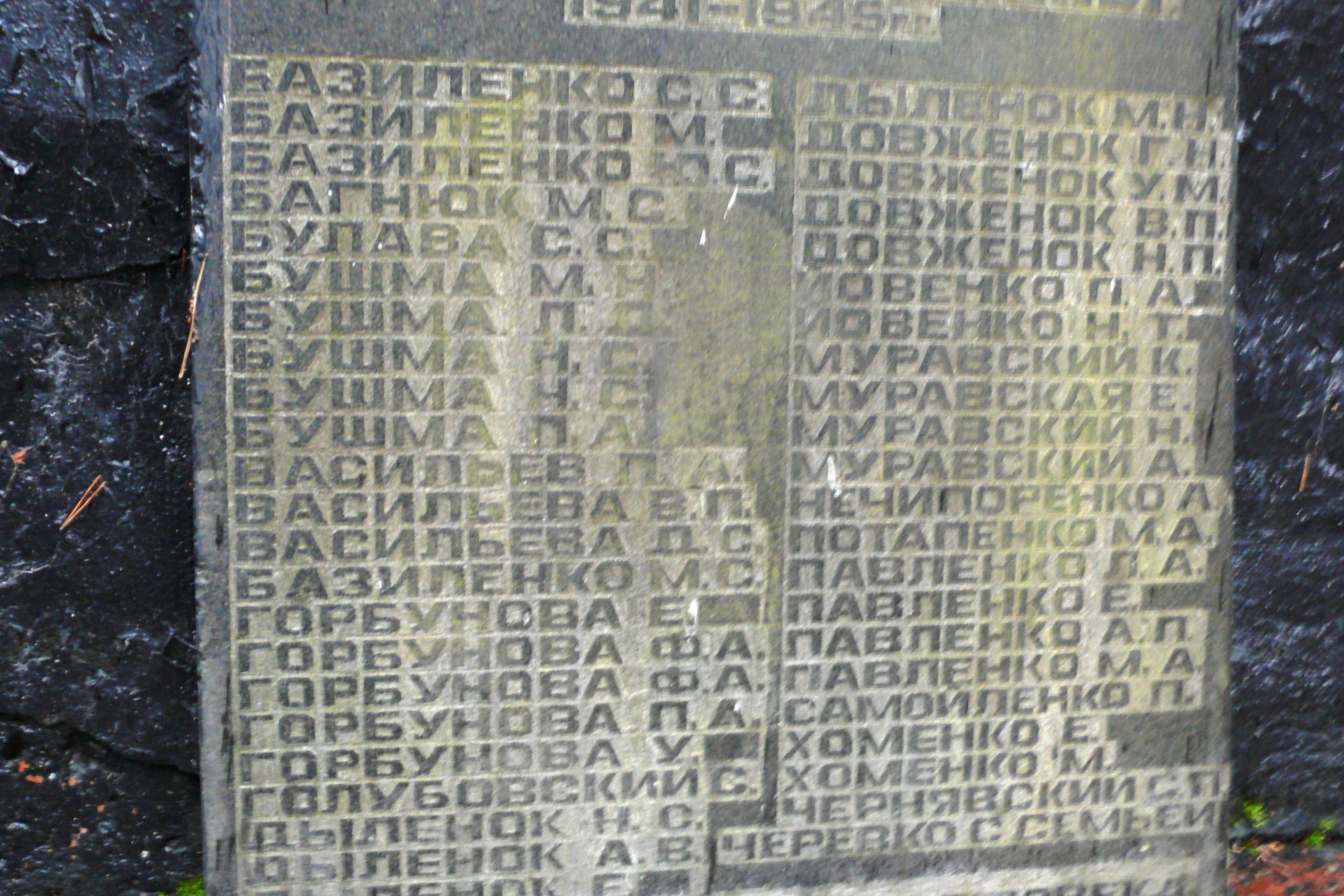 Братская могила в с. Ново-Шепеличи Чернобыльского района 