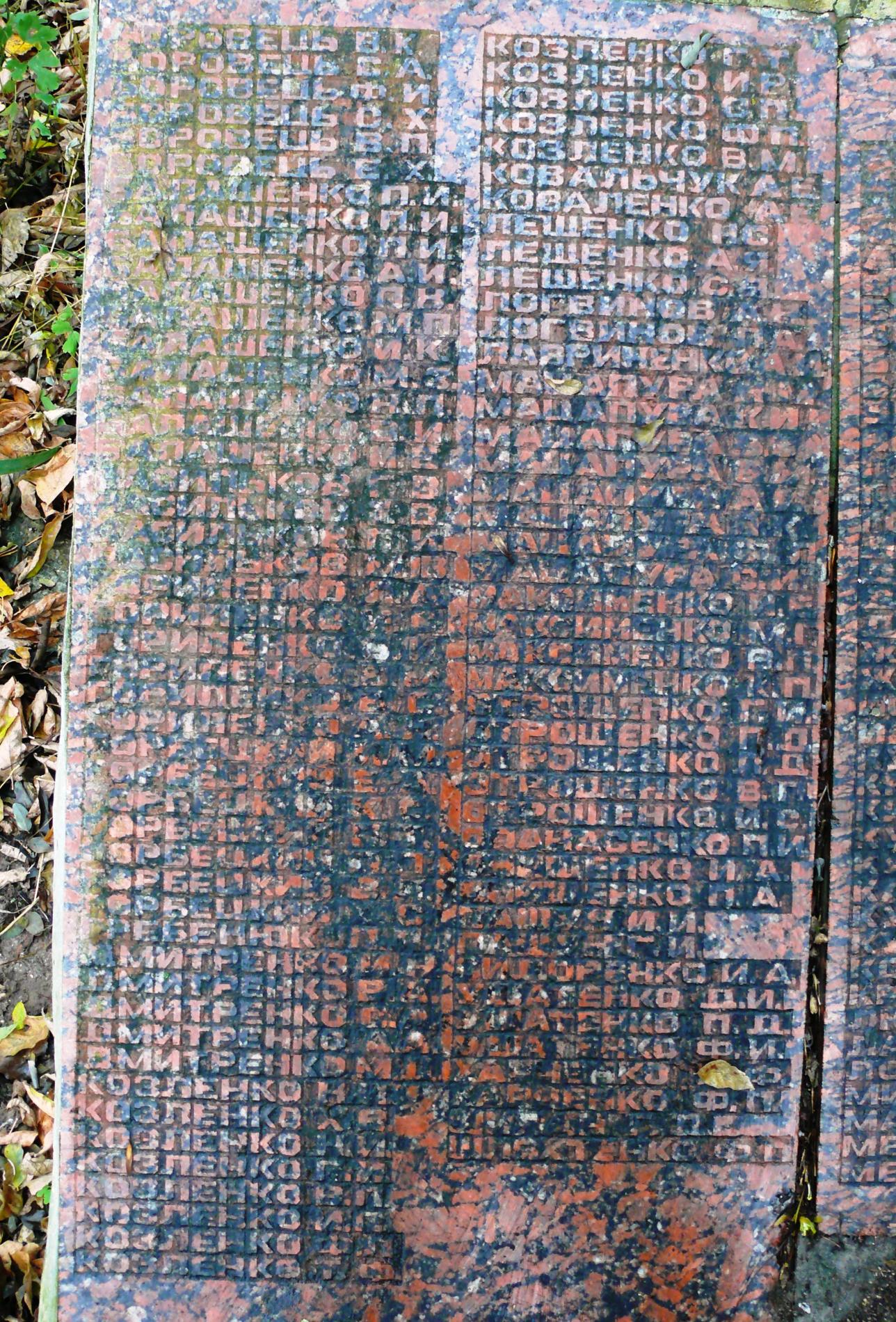 Мемориальная плита односельчанам на братской могиле в с. Чапаевка, Чернобыльская зона отчуждения