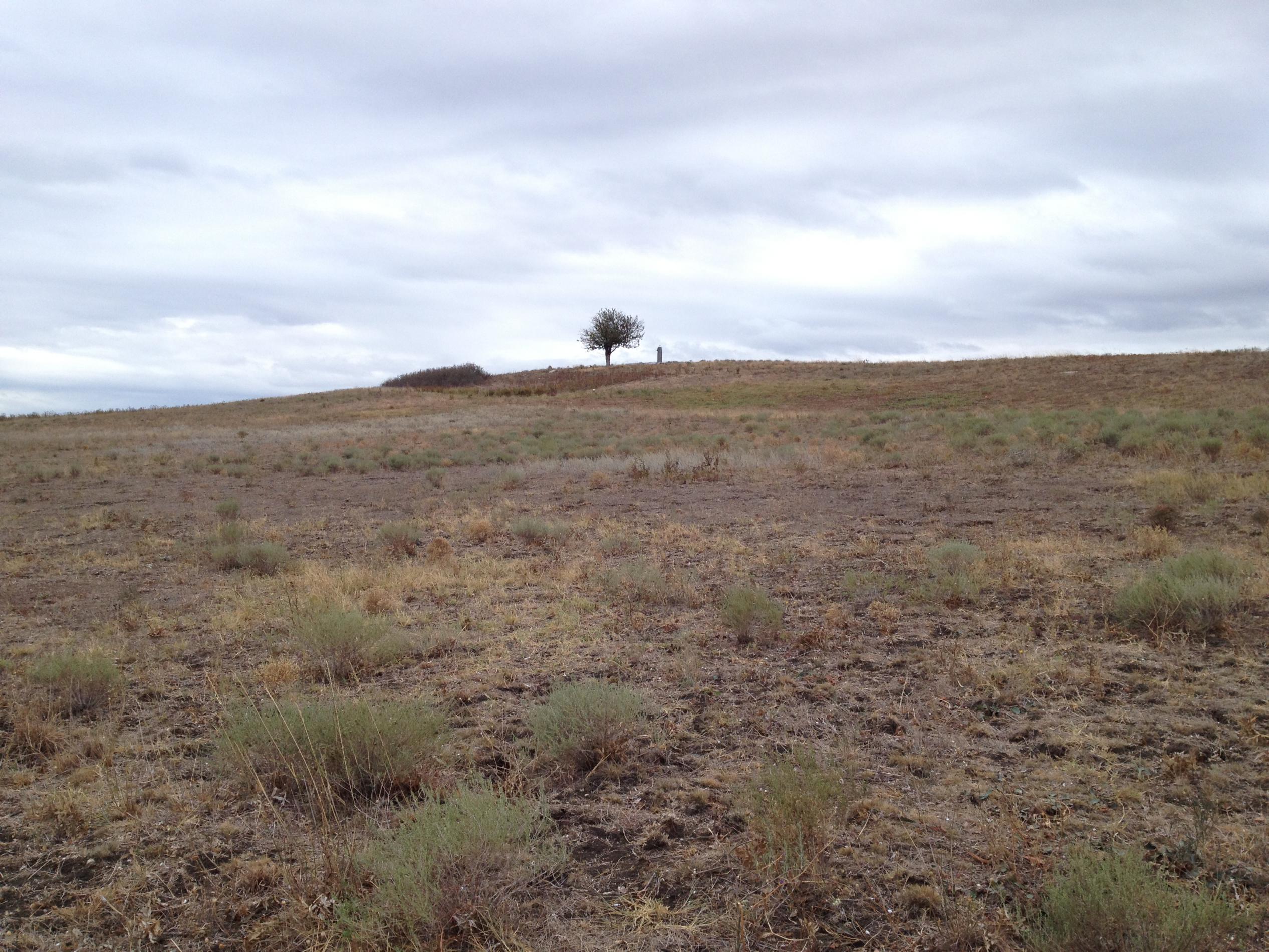 Братская могила связистов 44 Армии Крымского Фронта