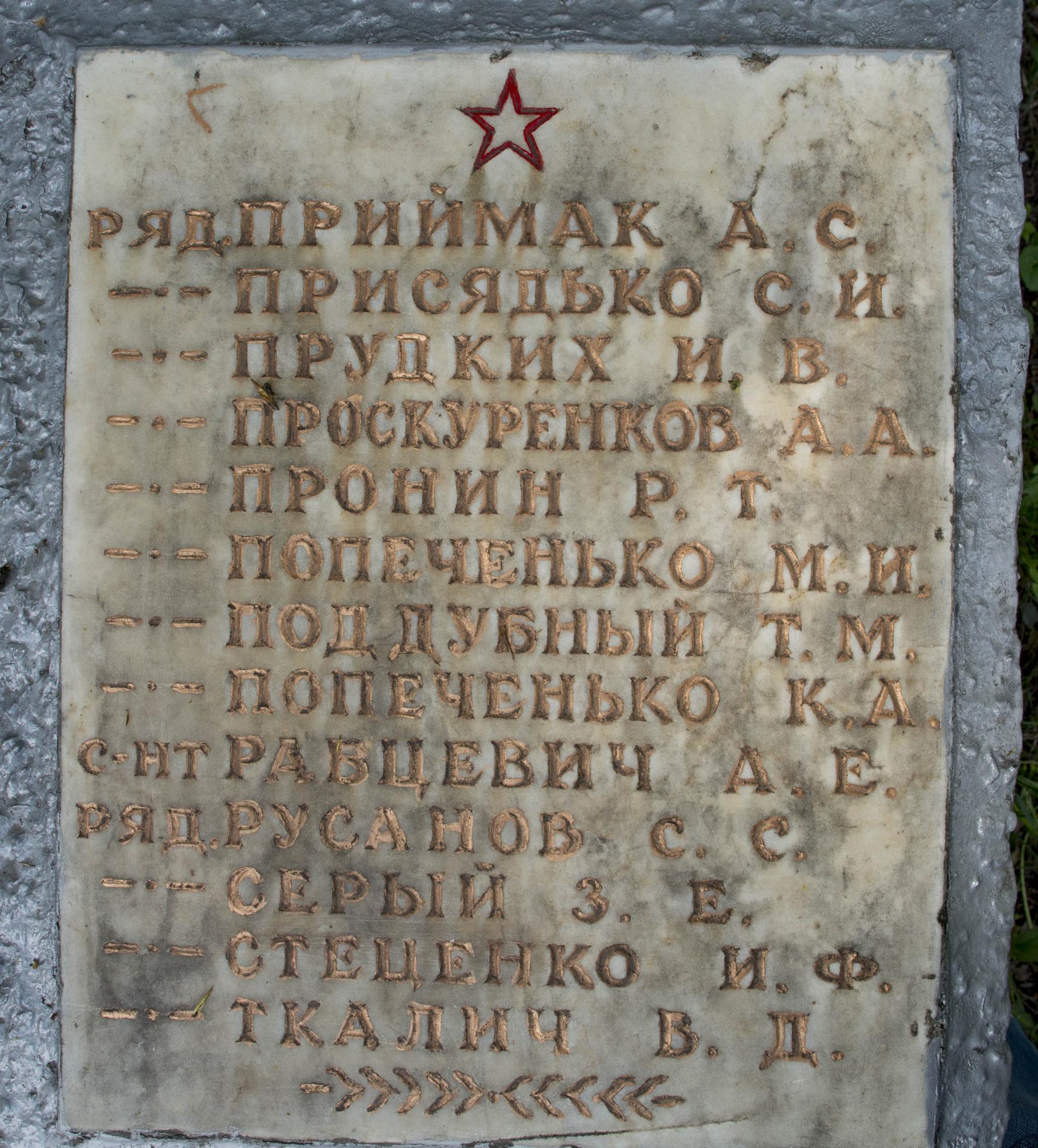 Братская могила на кладбище в с. Синяк Вышгородского района