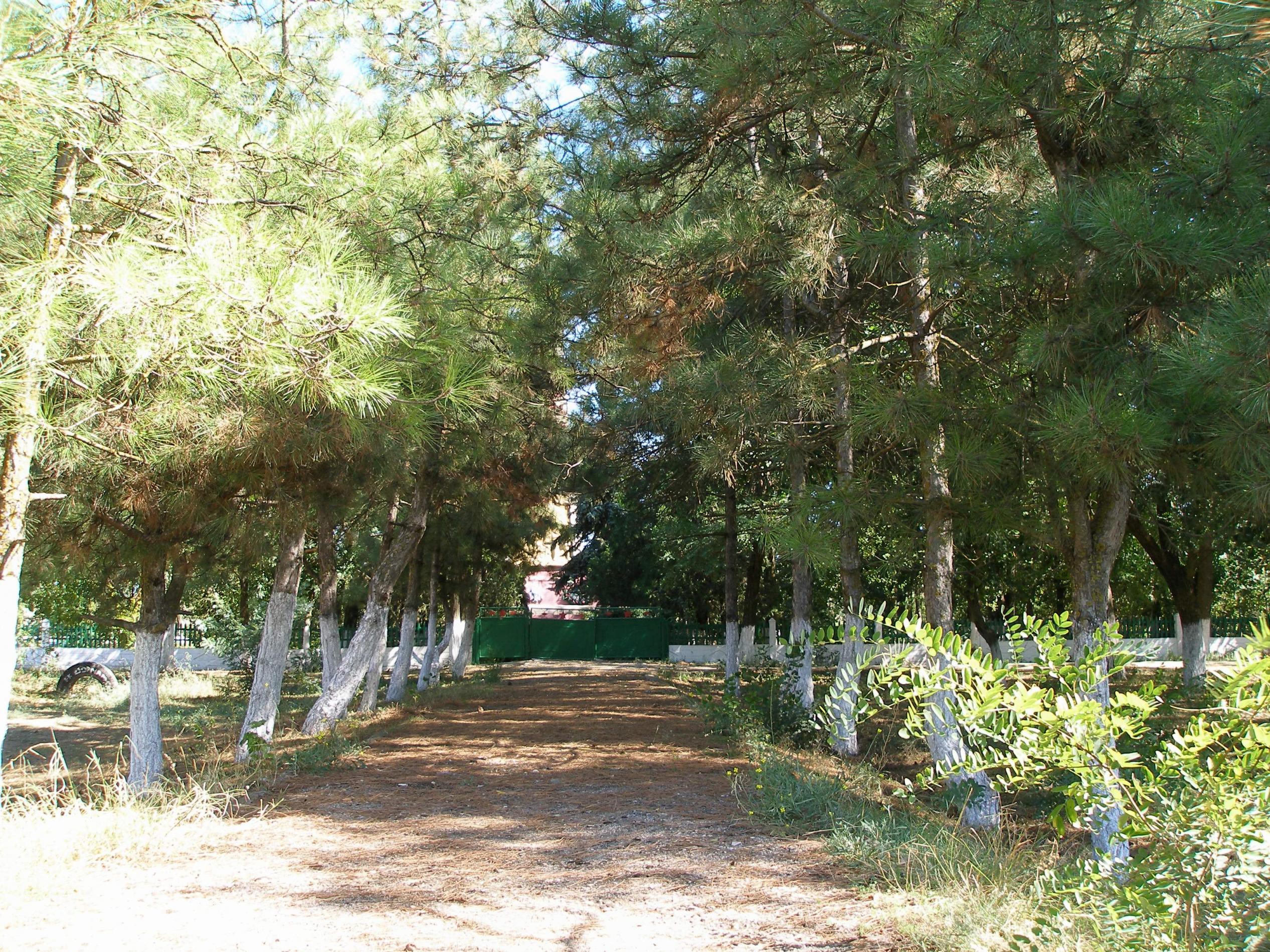 Братское кладбище - с. Ишунь