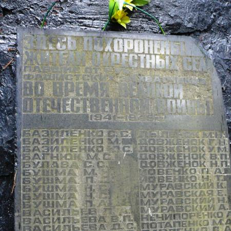 Братская могила в с. Ново-Шепеличи Чернобыльского района 