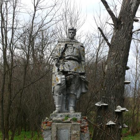 Братская могила в с. Толстый Лес Чернобыльского района