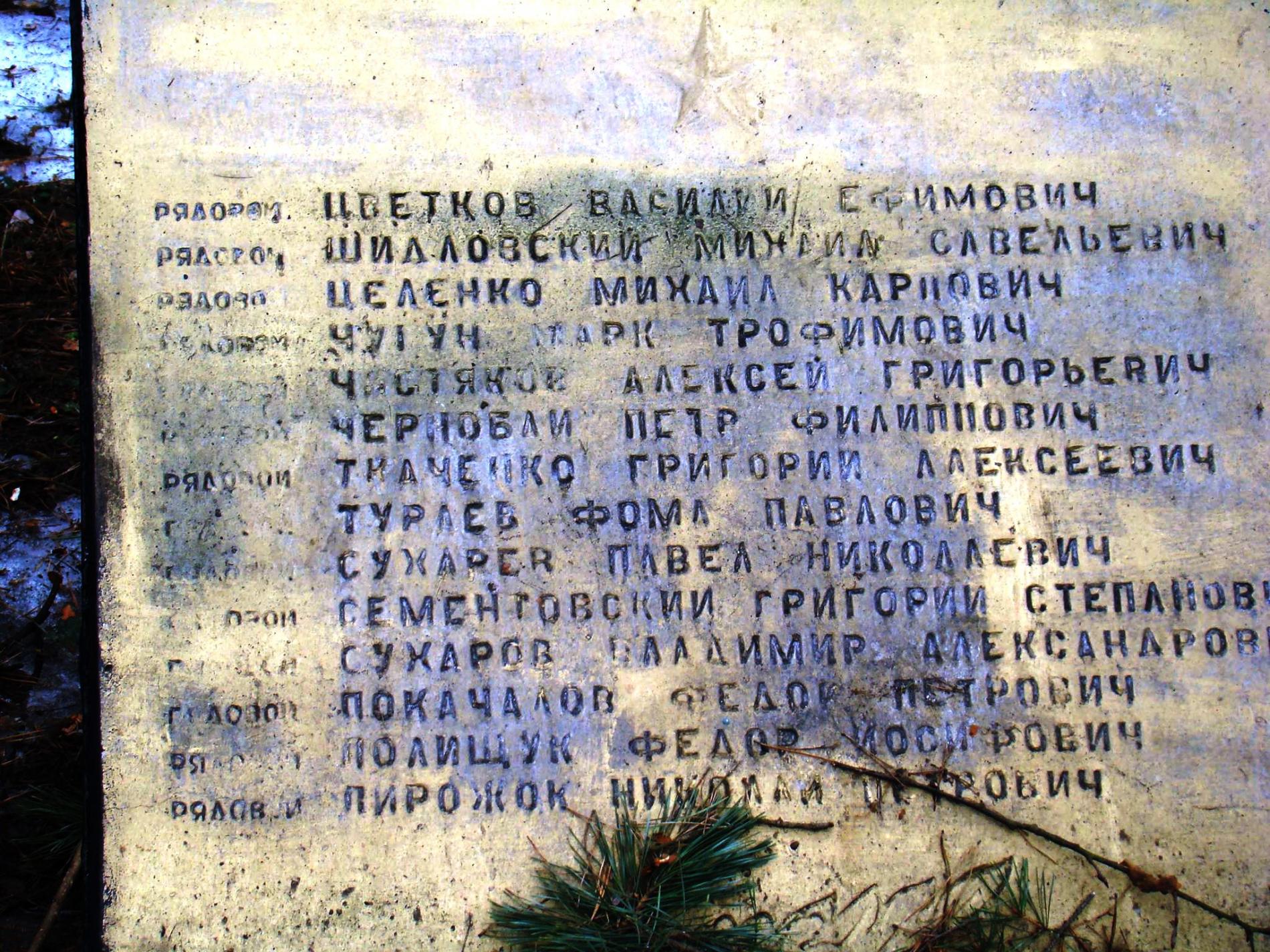 Братская могила в с. Дмитровка Фастовского района