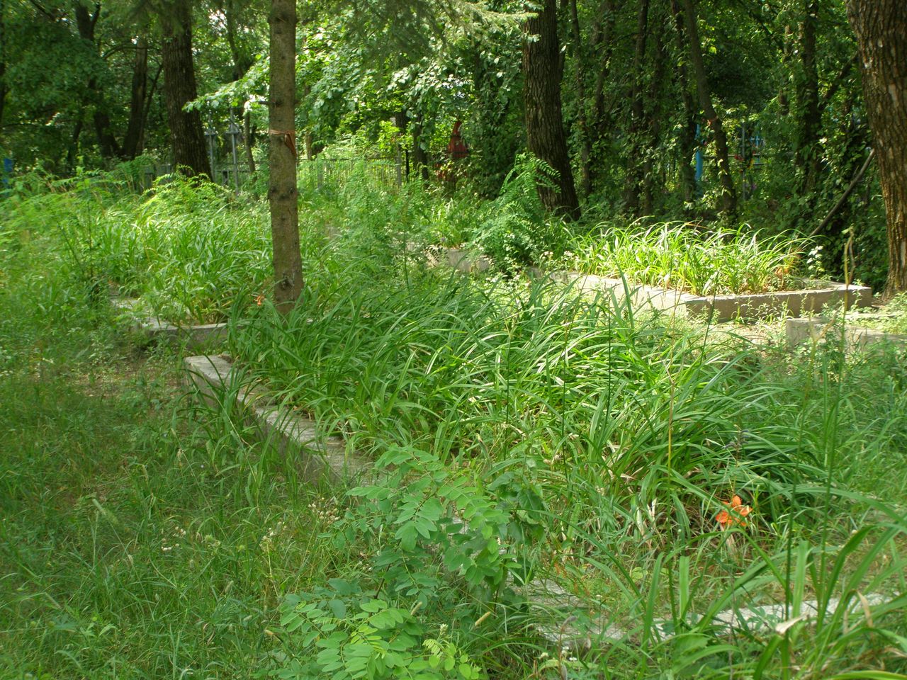 с. Ковпыта Черниговского района Черниговской области, Братская могила Воинов ВОВ