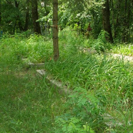 с. Ковпыта Черниговского района Черниговской области, Братская могила Воинов ВОВ