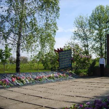 Братская могила в с. Новоандреевка Новгородковского района
