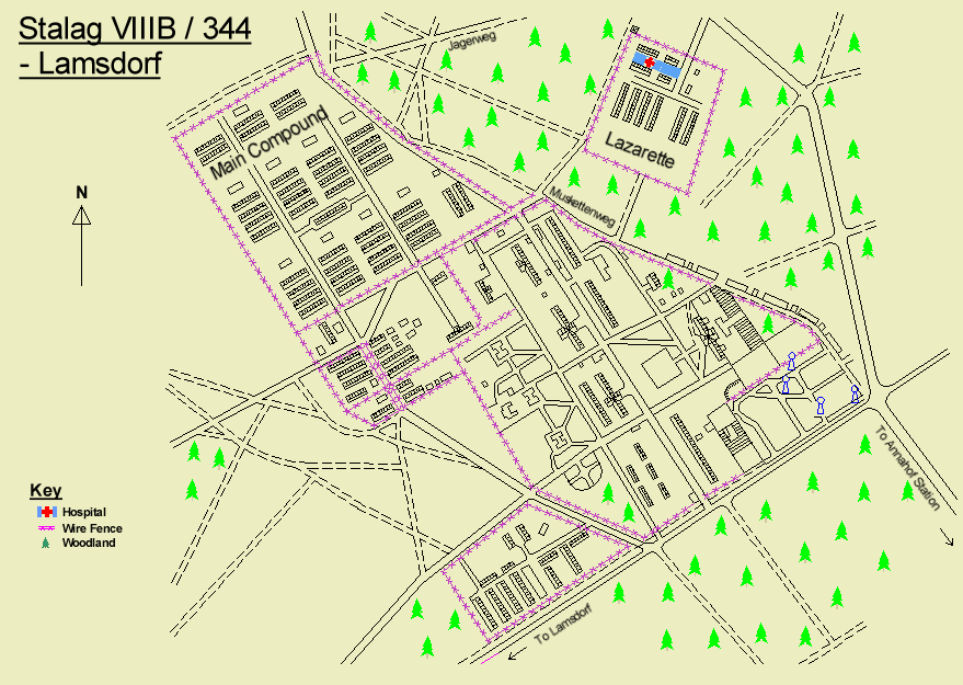 Stalag VIIIB  (344)