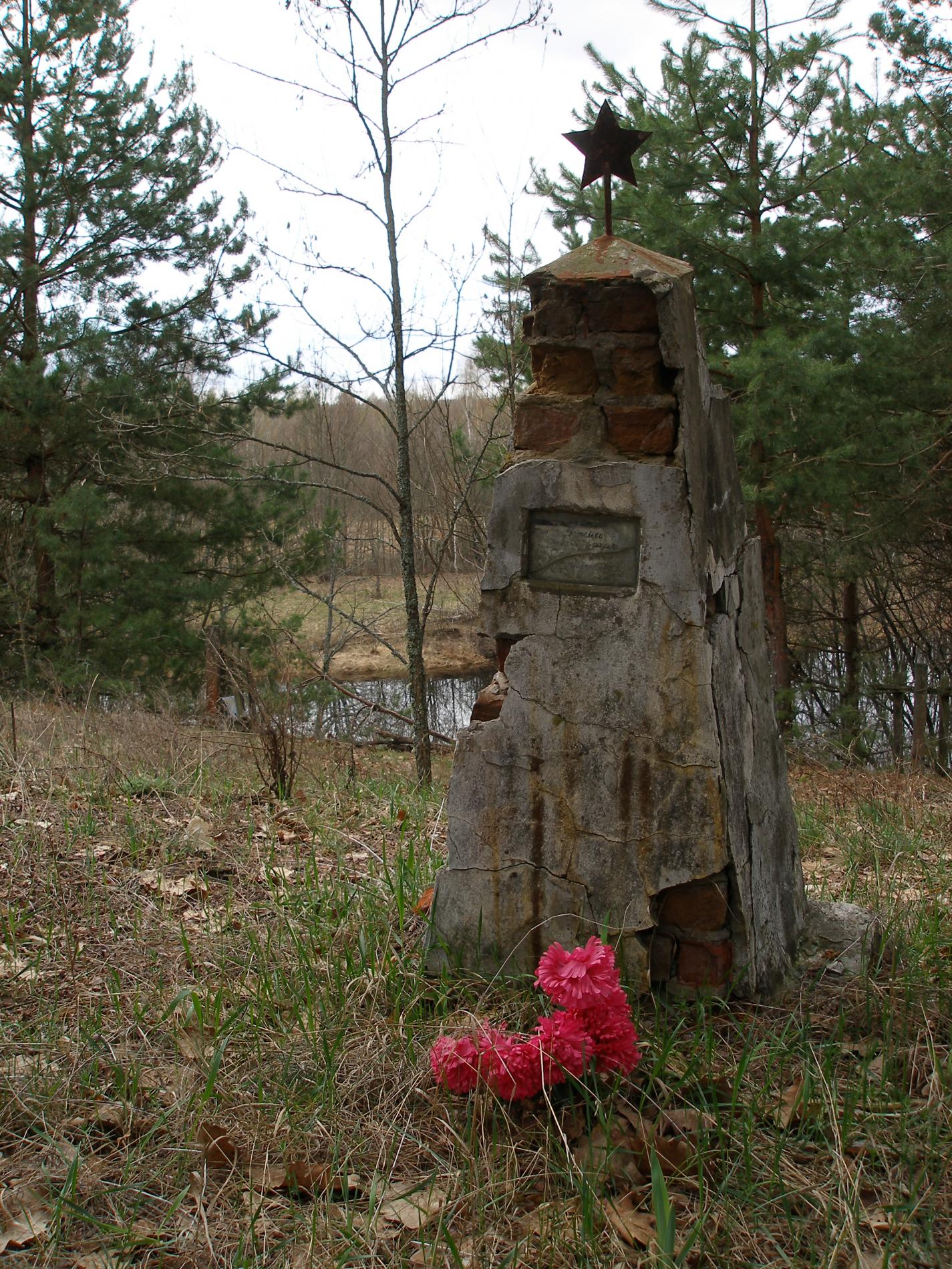 Одиночное захоронение у братской могилы в с. Кошовка б. Чернобыльского района