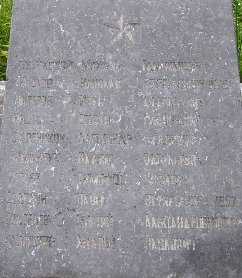 Братская могила в с. Анисов Черниговского района Черниговской обл.