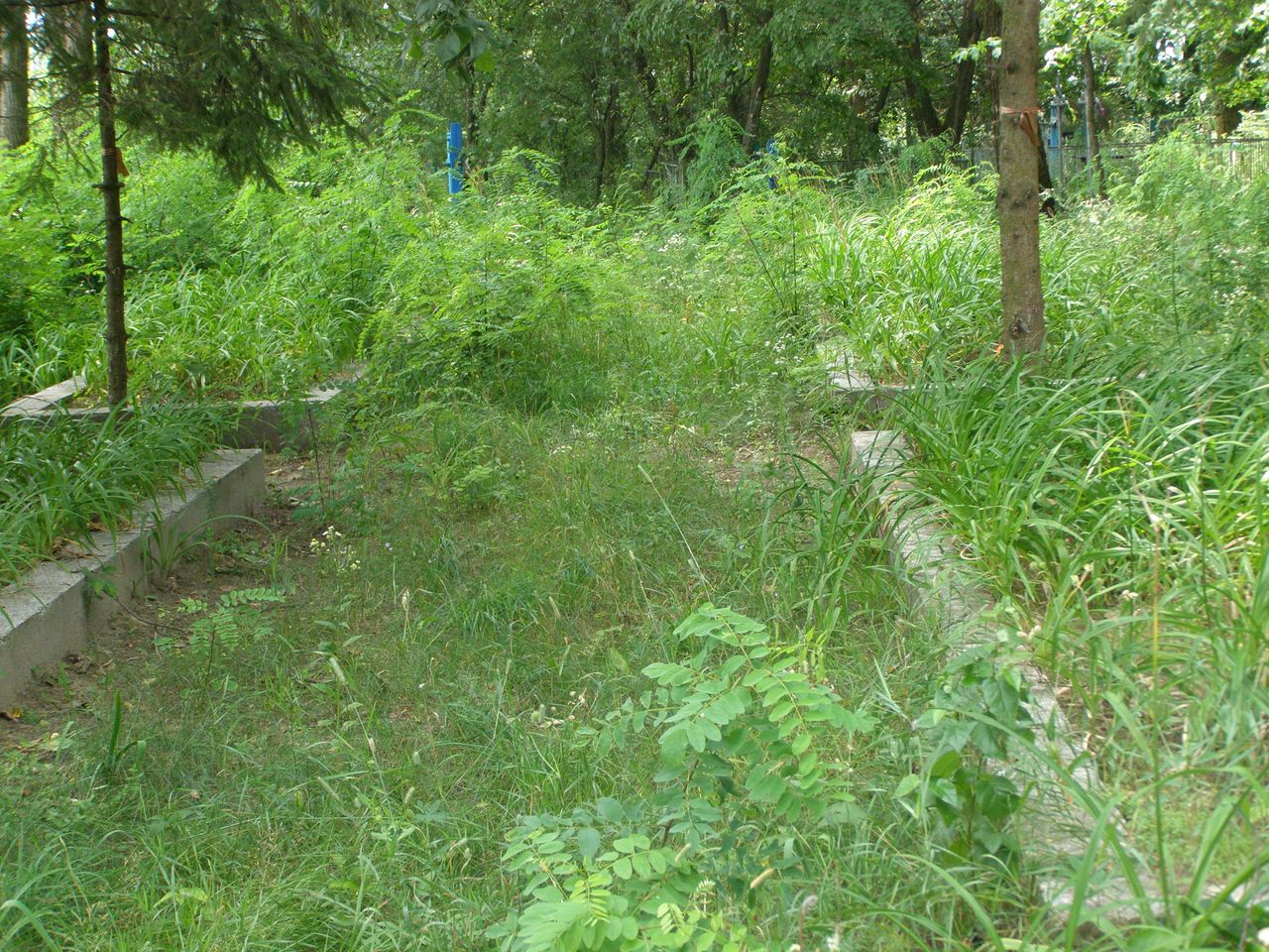 с. Ковпыта Черниговского района Черниговской области, Братская могила Воинов ВОВ