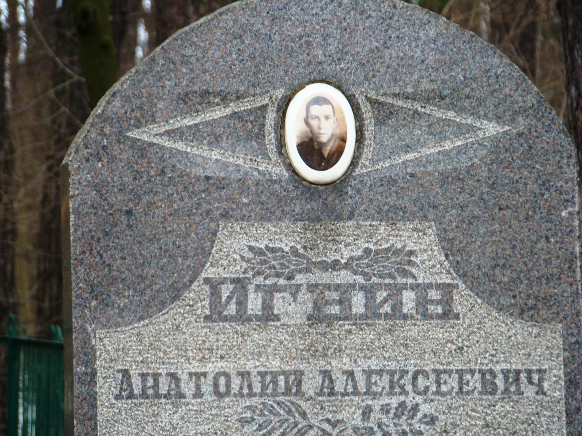 Памятник Игнину А.А. в с. Дмитровка Фастовского района