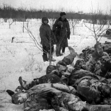 Расстрелянные гитлеровцами советские граждане, район Ростова, 1943 год.