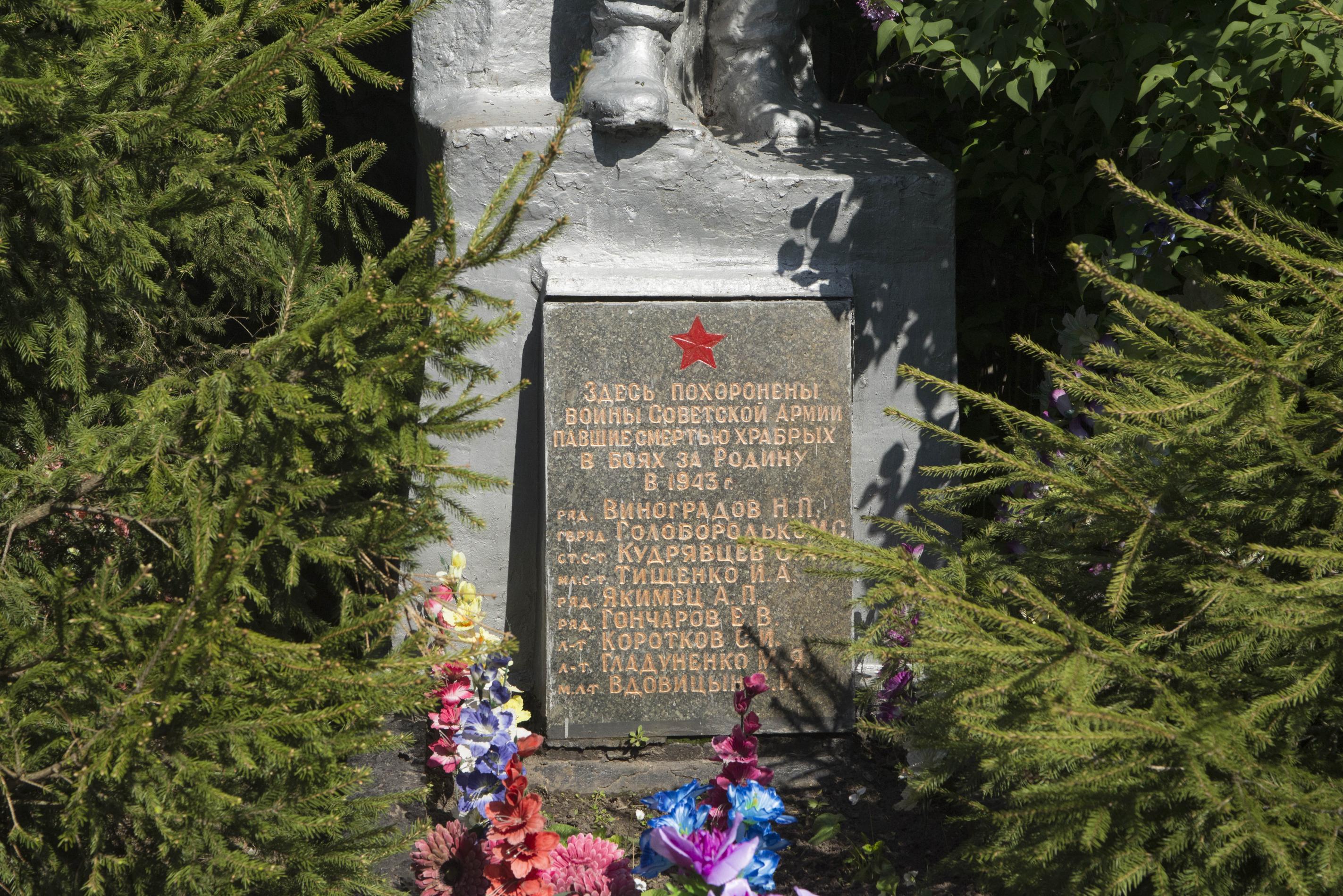 Братская могила в с. Вороньковка Вышгородского района