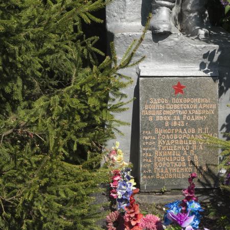 Братская могила в с. Вороньковка Вышгородского района