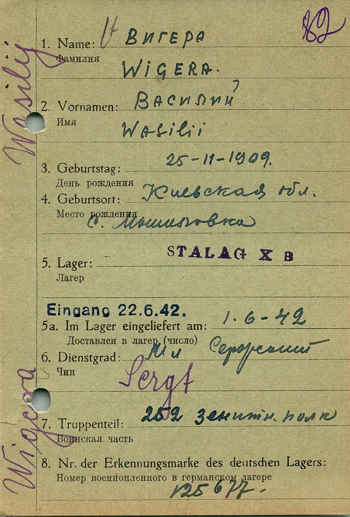 Вигера Василий Дмитриевич