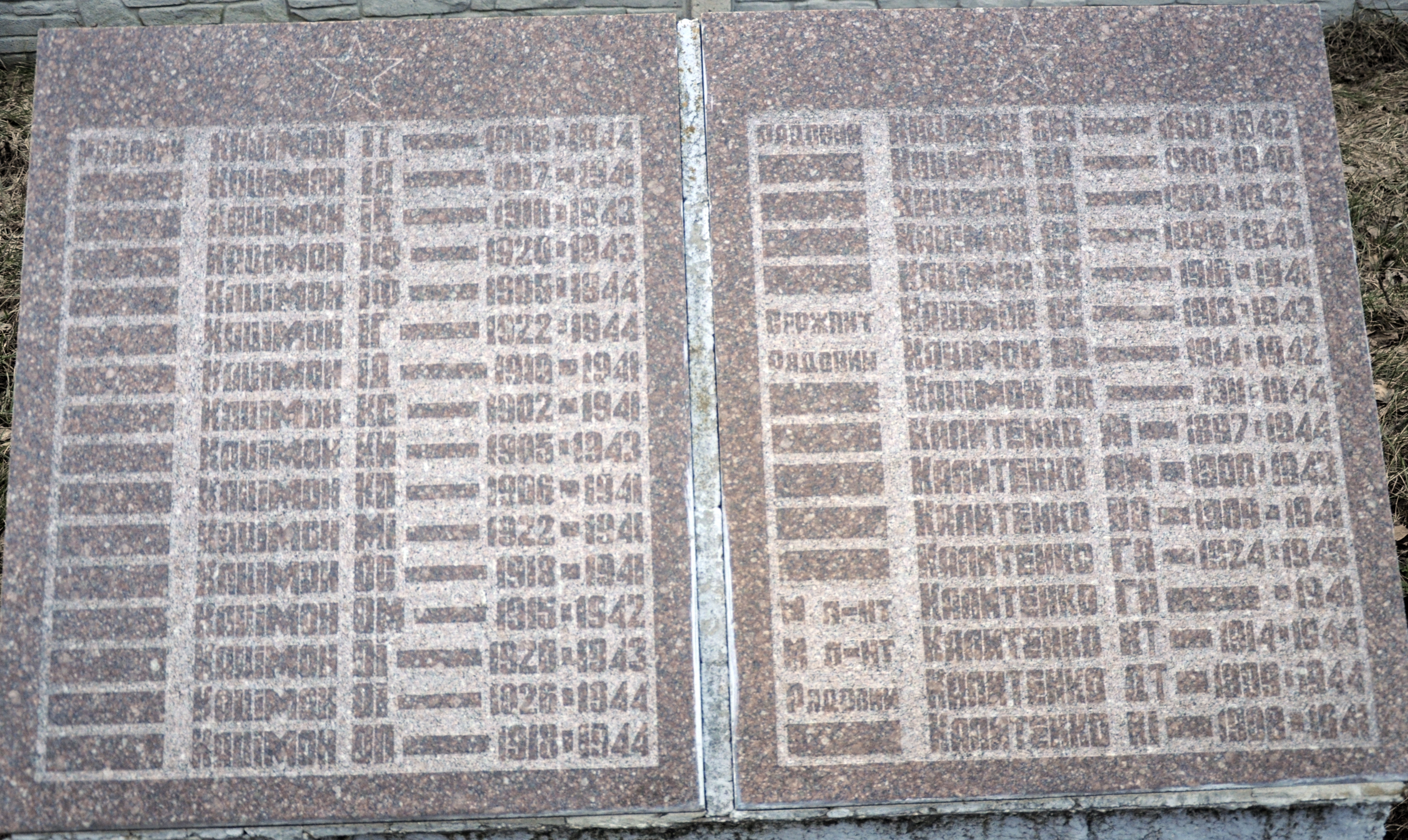 Памятник односельчанам в с. Новые Петровцы Вышгородского района