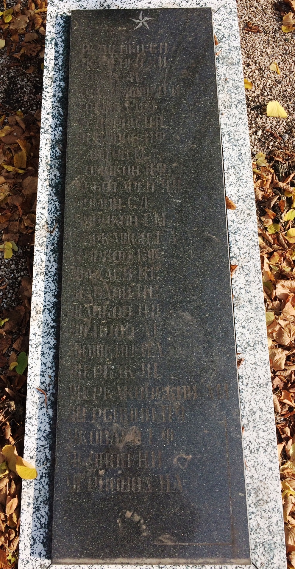 Братская могила и памятник землякам в г. Доброполье