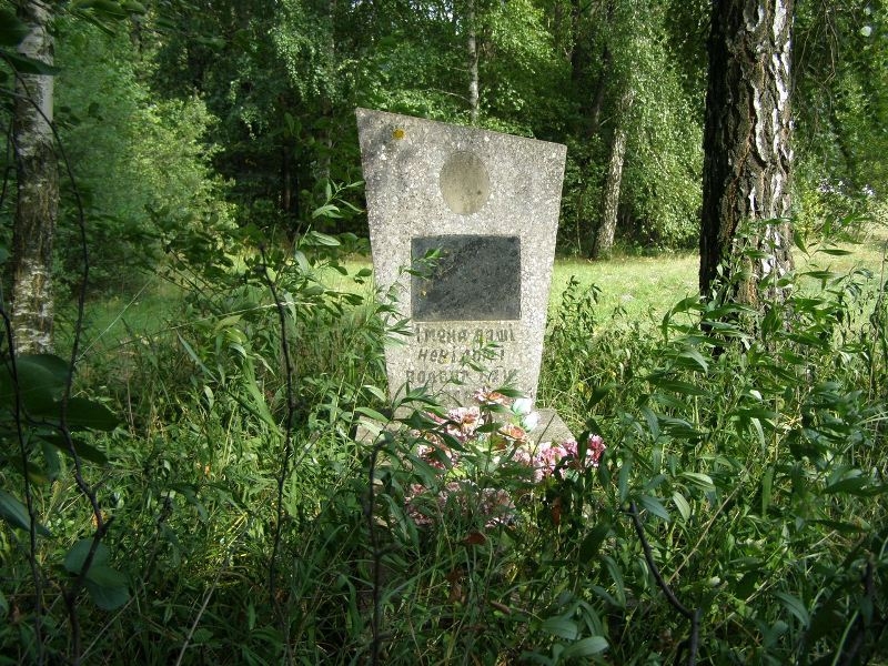 Братская могила на кладбище 