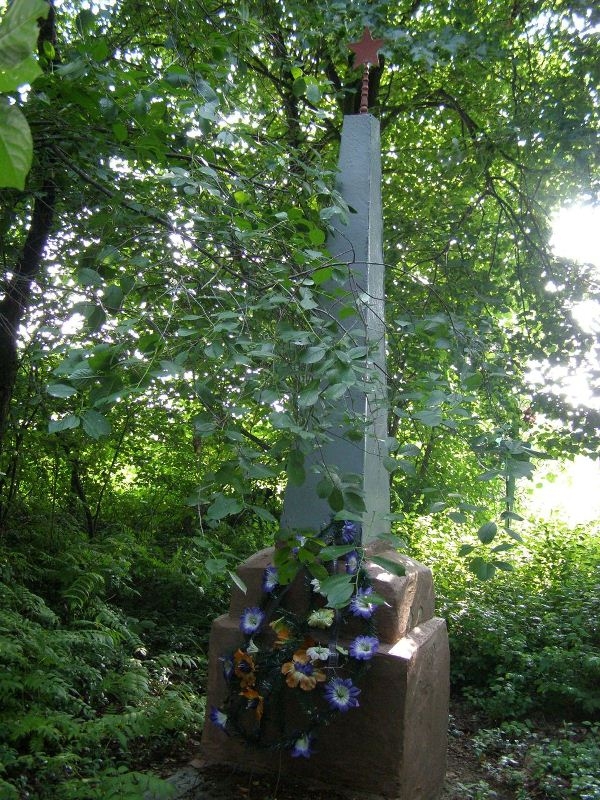 Братская могила в с. Коростень Куликовского района